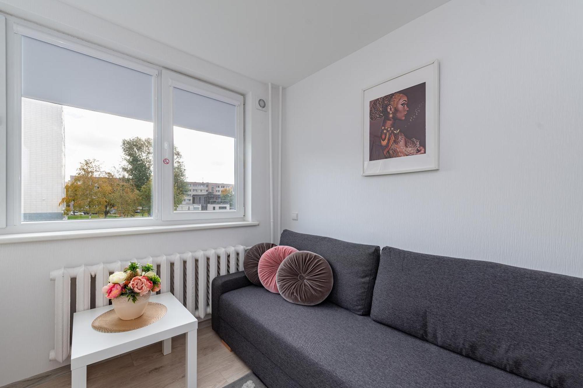 Pramones Apartment #9 By Poloapartments Kaunas Exterior foto